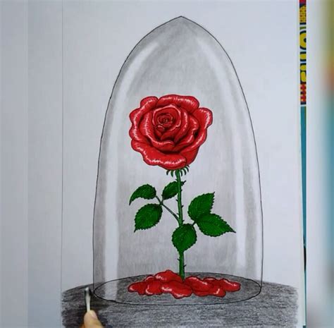 Drawing Challenge #2 - Drawing Rose🌹( beauty and the beast) - with