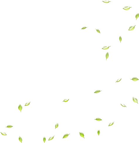 Are you looking for falling green leaves design images templates psd or png vectors files? Google Images Search engine Leaf Deciduous - Falling green ...