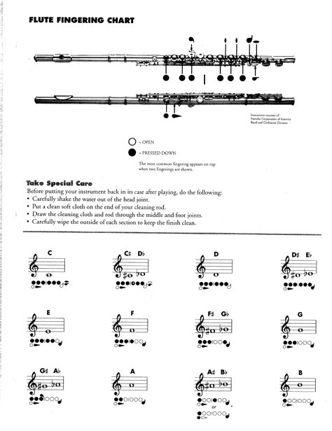 Flute Fingering Chart Sample Free Download