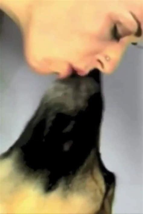 Dog Kissing Sweet Girl Zoo Tube 1