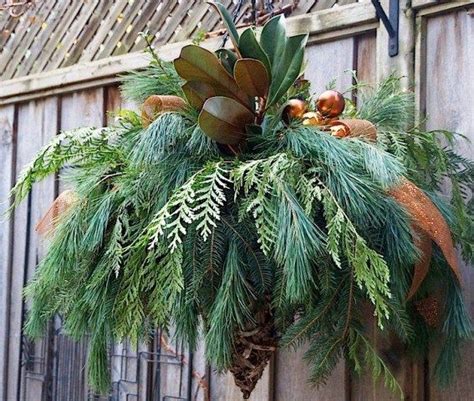 Nov 29 Decorating With Winter Evergreens Watters Garden Center
