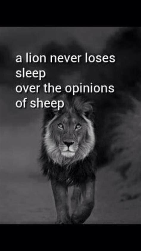 The Lion Never Losses Sleep Over The Opinions Of A Sheep Quotes About