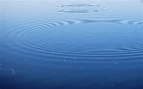 Free Photo Water Surface Blue Forms Lake Free Download Jooinn