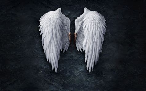 Broken Angel Wings Wallpaper Wings Wallpaper Angel Wallpaper White