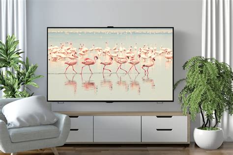 Samsung Frame Tv Art Frame Art Tv Flamingo Art Tv Pink Etsy