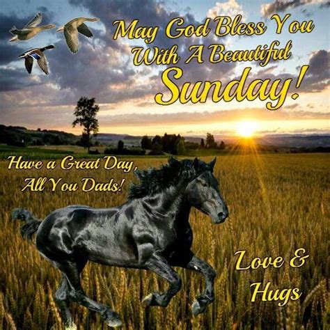 Sunday Sunday Greetings Sunday Wishes Good Sunday Morning