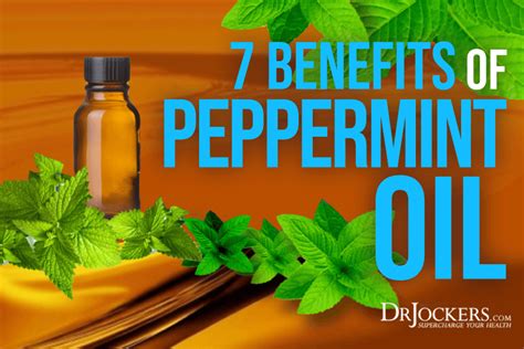 7 Benefits Of Peppermint Essential Oil For Brain And Body