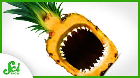 How Do Pineapples Eat Us Back Youtube