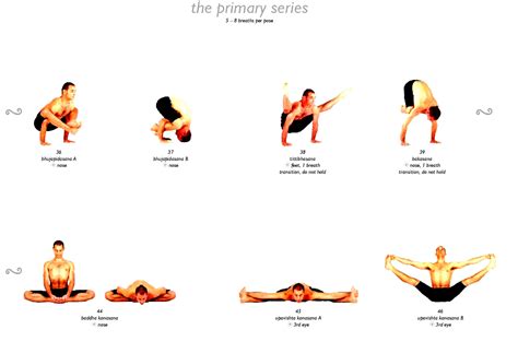 Yoga Asanas With Names Yoga Poses