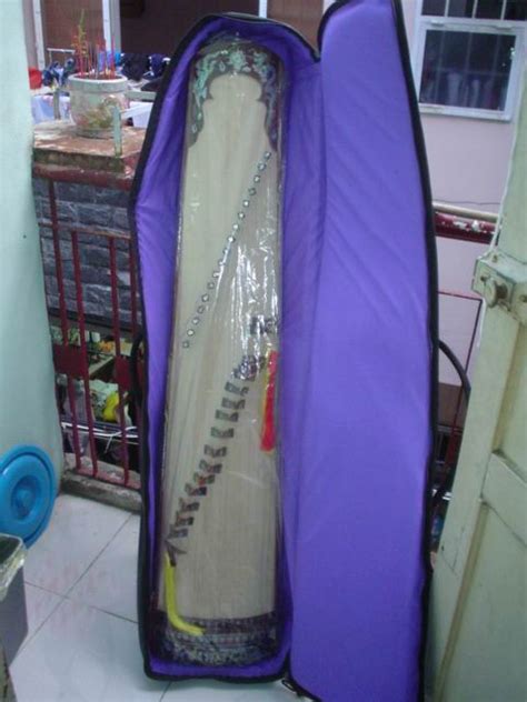 Dan Tranh Traditional Vietnamese String Instruments