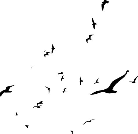 8 Flock Of Birds Silhouette Png Transparent