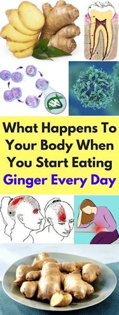 What Happens To Your Body When You Start Eating Ginger Every Day BEAUTIFUL DIY AND HEALTH