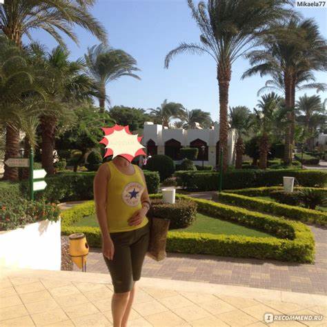 Яичная диета белковая Диета Магги (Яичная) - «Диета,которая обязательно даст результат!» | отзывы Диета Магги (Яичная) - «Диета,которая обязательно даст результат!» | отзывы Яичная диета белковая