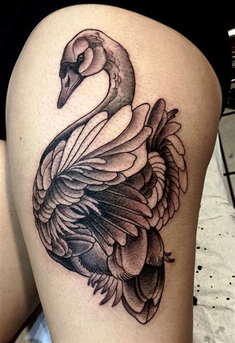 20 Famous Swan Tattoo Ideas And Designs To Try Instaloverz Swan