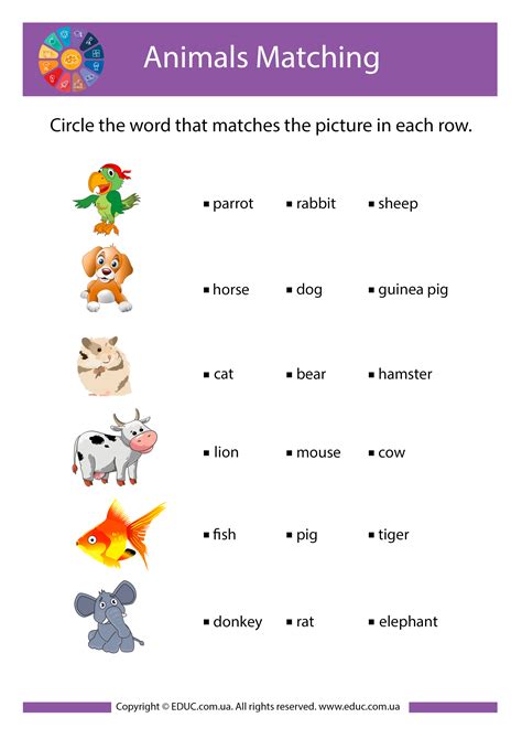 Животные на английском языке: задания для детей скачать бесплатно