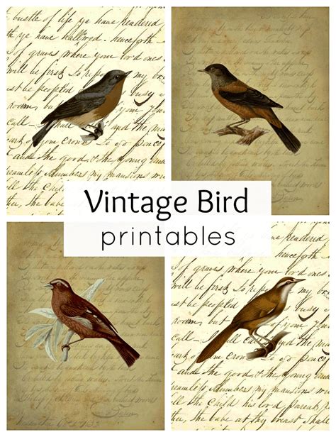Vintage Bird Printables For Fall Town And Country Living
