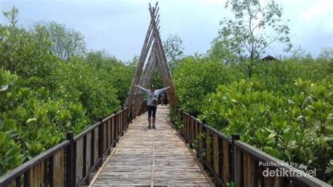 Tempat Wisata Hutan Mangrove Di Surabaya Tempat Wisata Indonesia