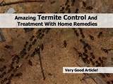 Vinegar Termite Treatment Photos