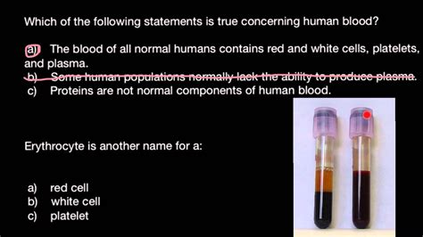 Since the nucleus is absent, many oxygen is not. Human blood composition - YouTube