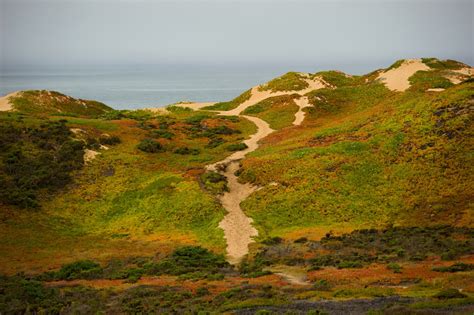 Fort Ord Dunes State Park To Open Californias First Coastal Campground