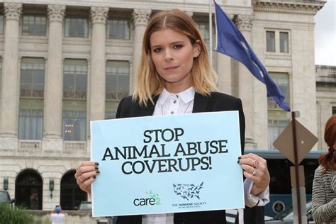 Cause Celeb Kate Mara Petitions Usda On Animal Abuse Records The