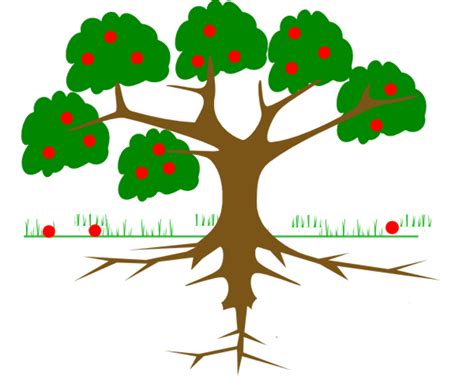Download High Quality Tree Clipart Roots Transparent Png Images Art