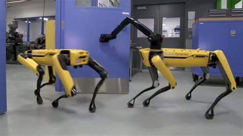 Dog Like Robot Opens A Door In Mesmerizing Viral Video Abc News