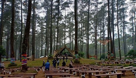 Review Orchid Forest Cikole - Blog Hotel Bobobox Indonesia