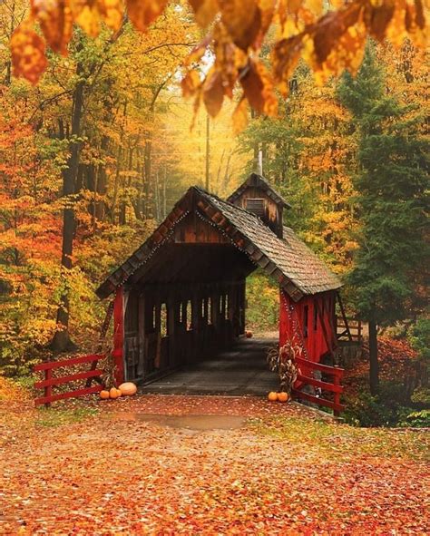 Covered Bridge In Autumn Autumn Scenery Covered Bridges Scenery