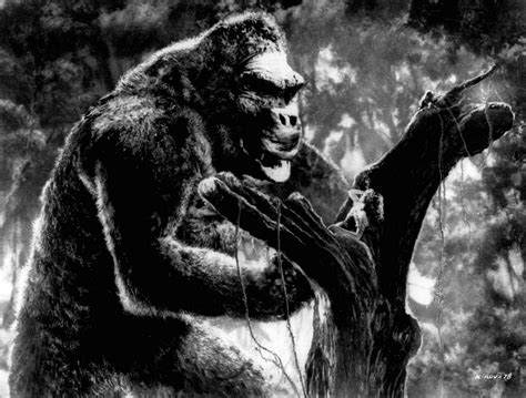 La Verdadera Historia De King Kong Te Interesa Saber