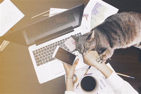 Il y en a 12 835 disponibles sur indeed.com, le plus grand site d'emploi mondial. teletravail maison