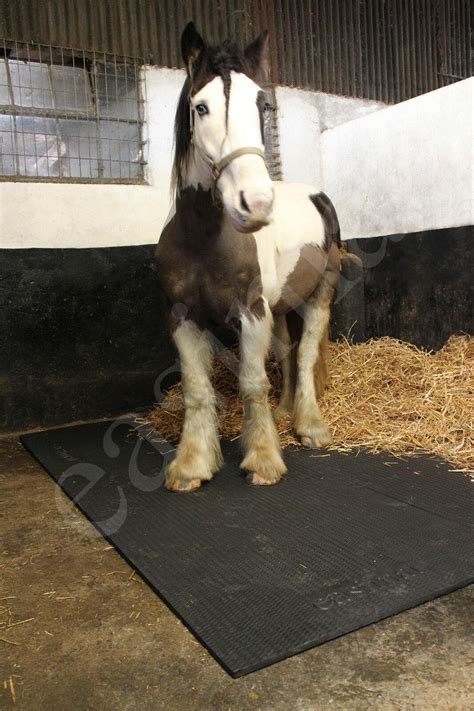 Horse Stable Floor Mats Eva 6ft X 4ft Cushioned Equine Matting Flooring