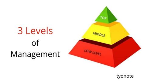 The 3 Levels Of Management Top Middle And Lower