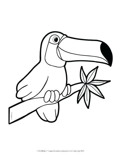 Jungle Coloring Pages For Preschoolers At Free