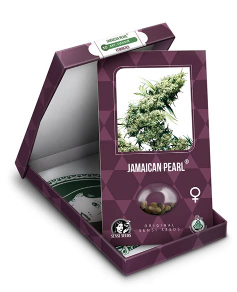 jamaican pearl feminized sensi seeds the hempers