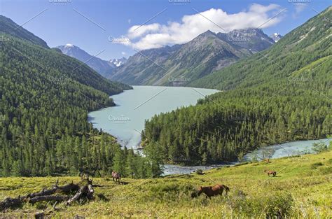 Kucherla Lake Altai Mountains Featuring Lake Kucherla And Beauty