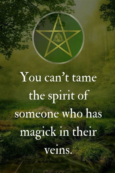 Pin By Amy Shimerman On Wiccan In 2021 Pagan Quotes Wiccan Quotes