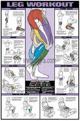 Workout Routine Legs Images