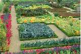 Vegetable Garden Design