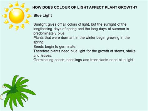 Can anyone tell me if a 150w hps and how much cfl lumens i will need i have both 6000k and 2700k for each stage and have y adapters and a 4 way bulb adapters for the drop lights to. How does sunlight affect plant growth IAMMRFOSTER.COM