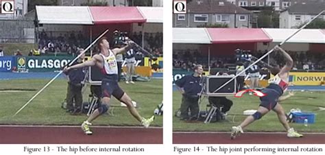 Anatomical Movements Sports Science Degree Physical Education Quintic