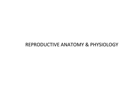 Ppt Reproductive Anatomy And Physiology Powerpoint Presentation Free