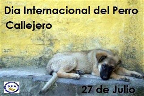 El 18 de junio se celebra el día internacional del sushi de manera extraoficial ya que la fecha no está reconocida por la onu. 27 de julio - Día Internacional del Perro Callejero - Todo imágenes