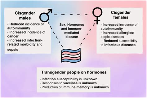 An Overview Of The Difference In Disease Incidence Between Cisgender