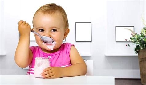 Best Yogurt For Babies Let Your Baby Growing Up Healthy
