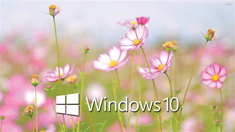 46 Windows 10 Wallpaper 2560x1440