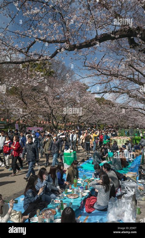 Japan Tokyo City Ueno District Ueno Park Celebrating Cherry