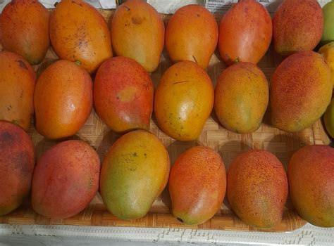 Local Mangos And Papayas For Sale Ecay