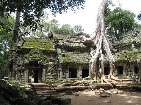 Angkor Cambodia Angkor Wat Temple Nature Takes Over The