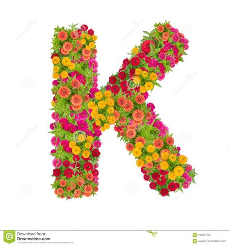 Illustration about cute and colorful alphabet letter k with set of illustrations and words printable sheet. Letter K Alphabet Made From Zinnia Flower Stock Image - Image of orange ...